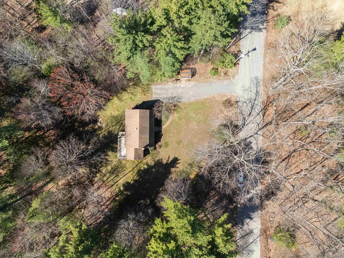 Photo of 12 Dogtown