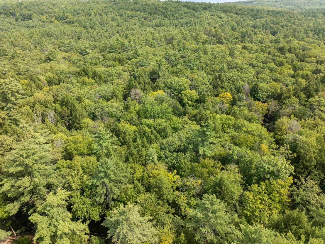 Photo of 32 Forest Pond