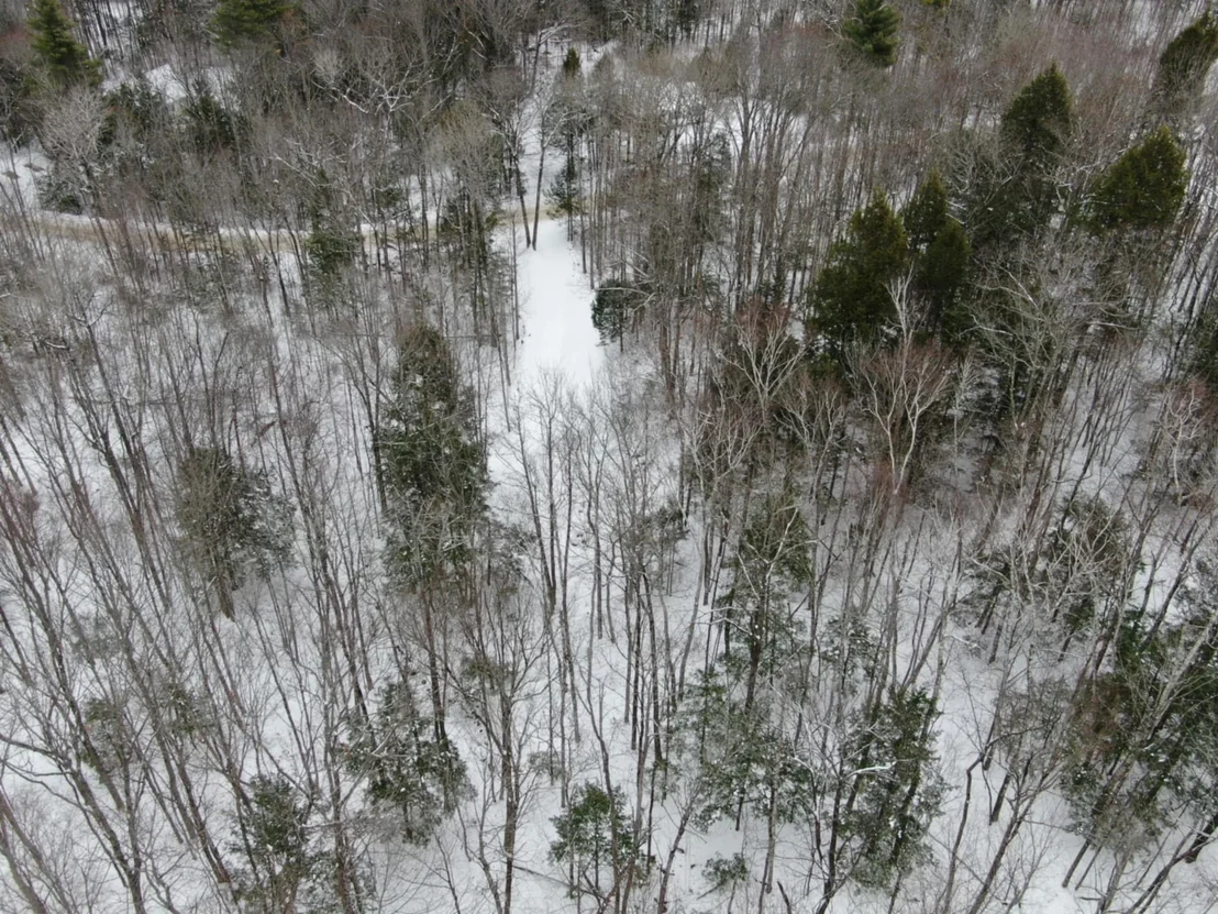 Photo of 00 Quaker