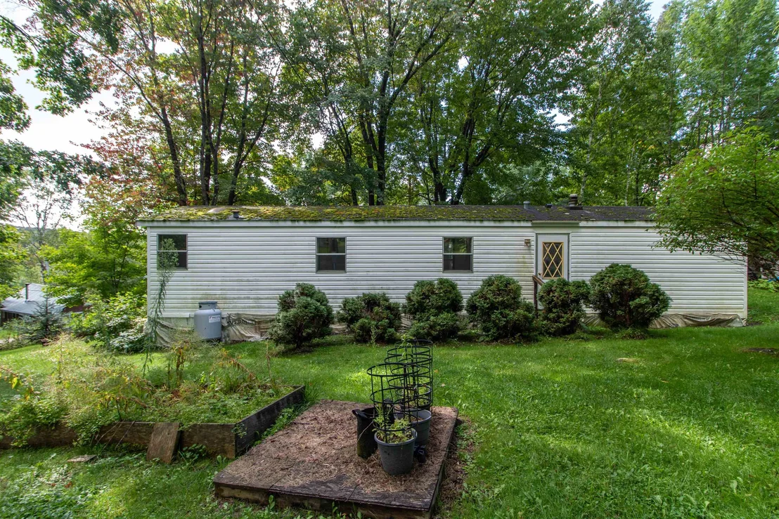Photo of 62 Maple Tree