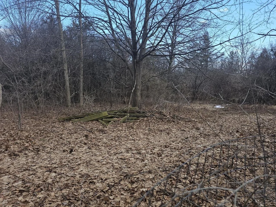 Photo of 3597 Lake