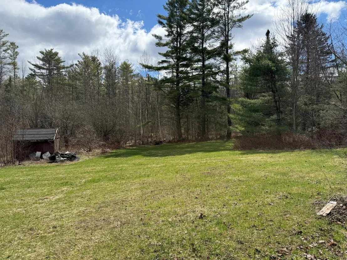 Photo of 571 Bliss