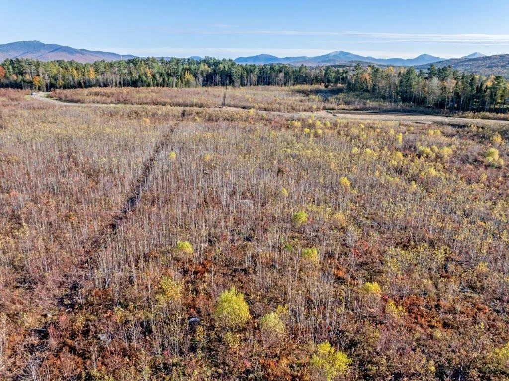 Photo of Lot 3 McIntyre