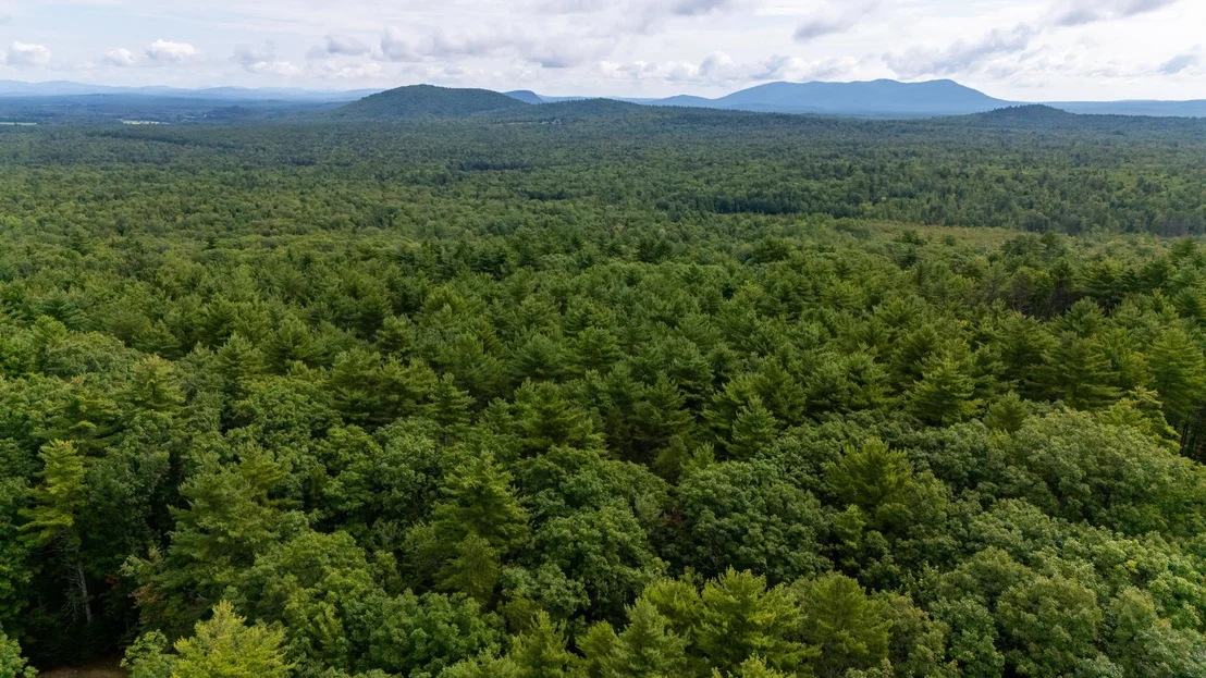 Photo of Lot 26 Davis Hill
