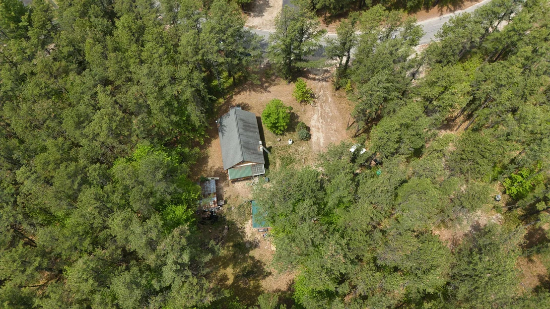 Photo of 31 Stoddard