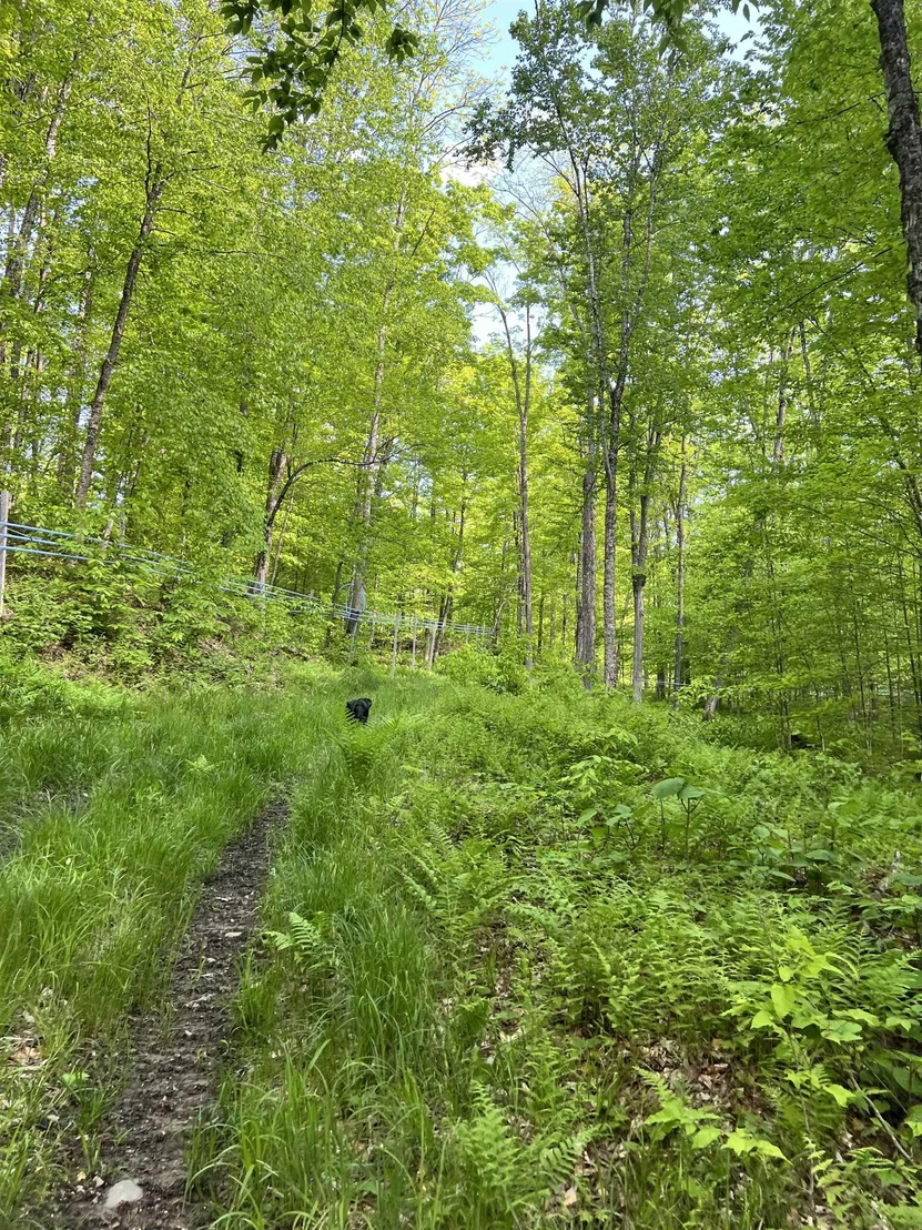 Photo of 00 Town Hill