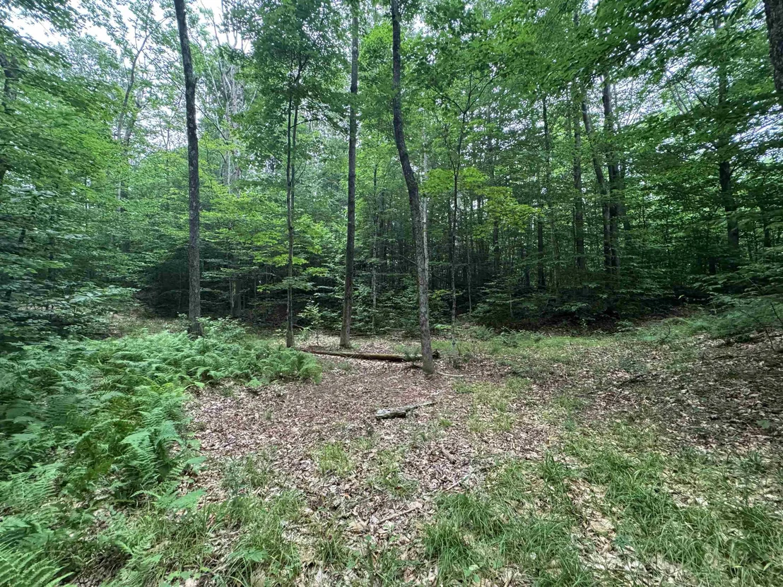 Photo of 185 Valley View
