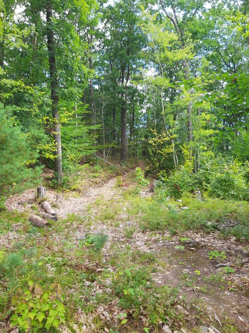 Photo of 319 River Road S