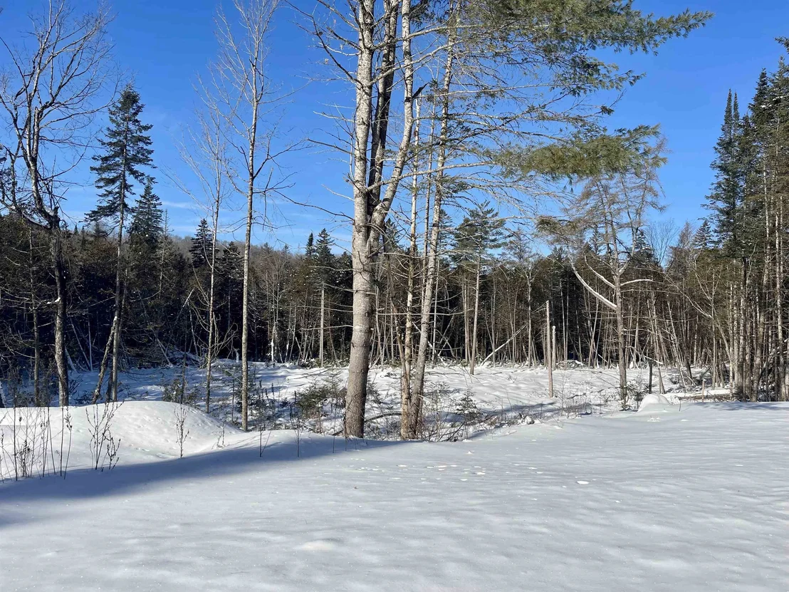 Photo of 00 Vermont Route 5A
