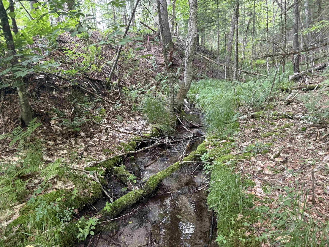 Photo of Lot 5 VT Route 102