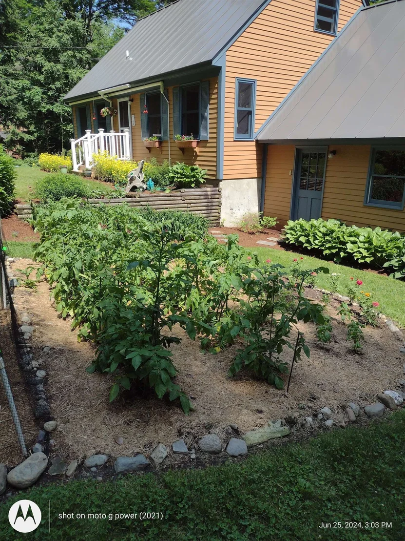Photo of 455 Hawk Pine