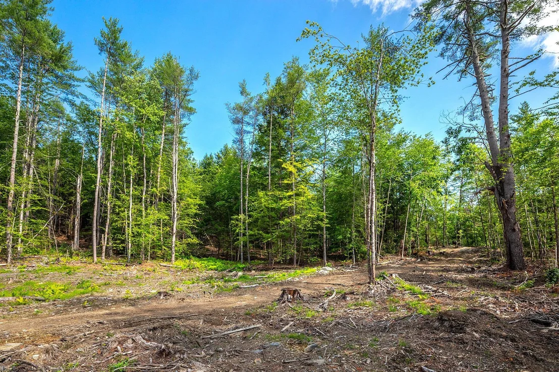 Photo of 40 E Putney Brook