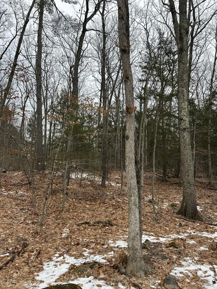 Photo of Unit TOWNMAPSHOWS42DEEDSHOWSLOTNO24 at 42 Kings Pine