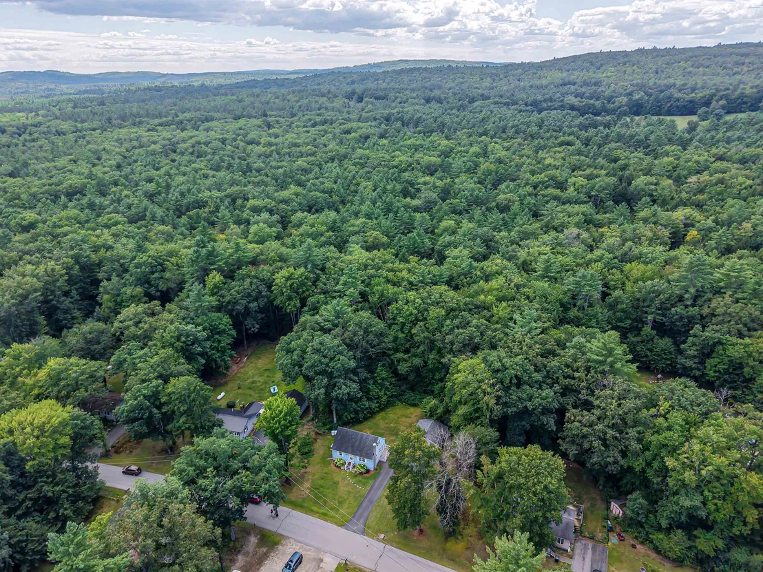 Photo of 69 Forest