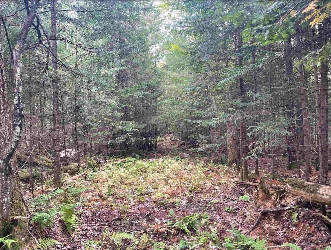 Photo of 130 Stevens