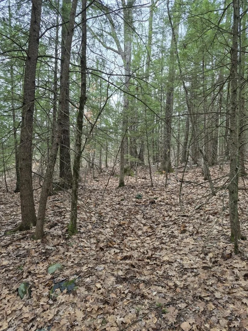 Photo of Unit 1 at Pond