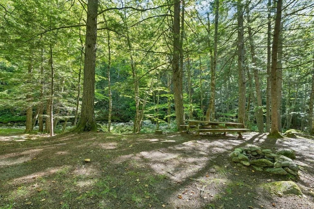 Photo of 32 Johnson Brook