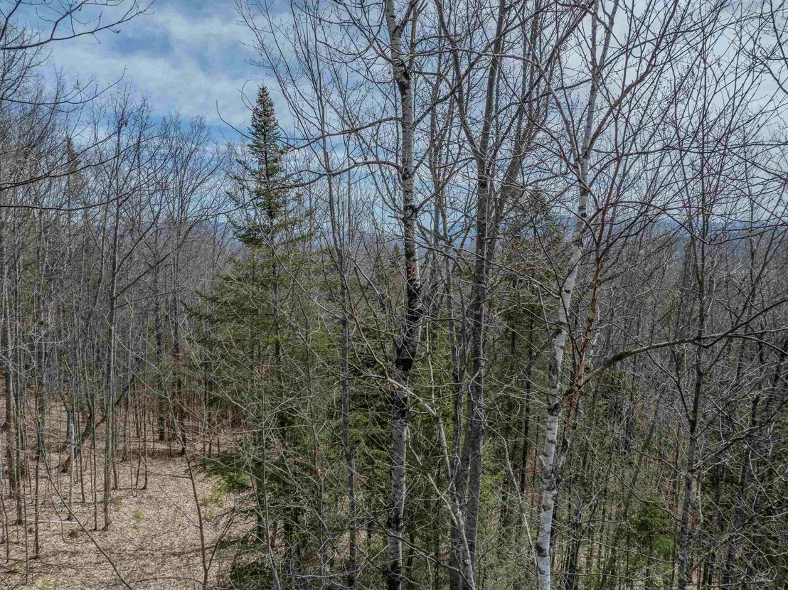 Photo of Lot 2 Mountain