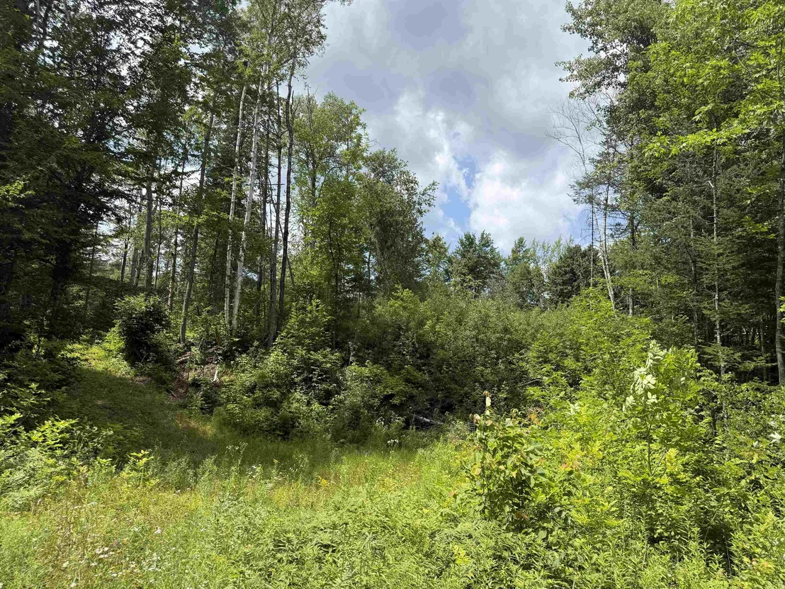 Photo of Lot 5 VT Route 102