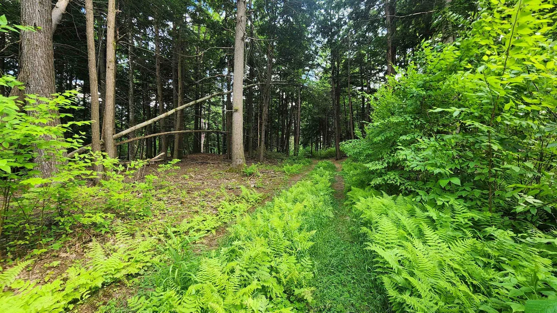 Photo of 0 Spencer Hollow