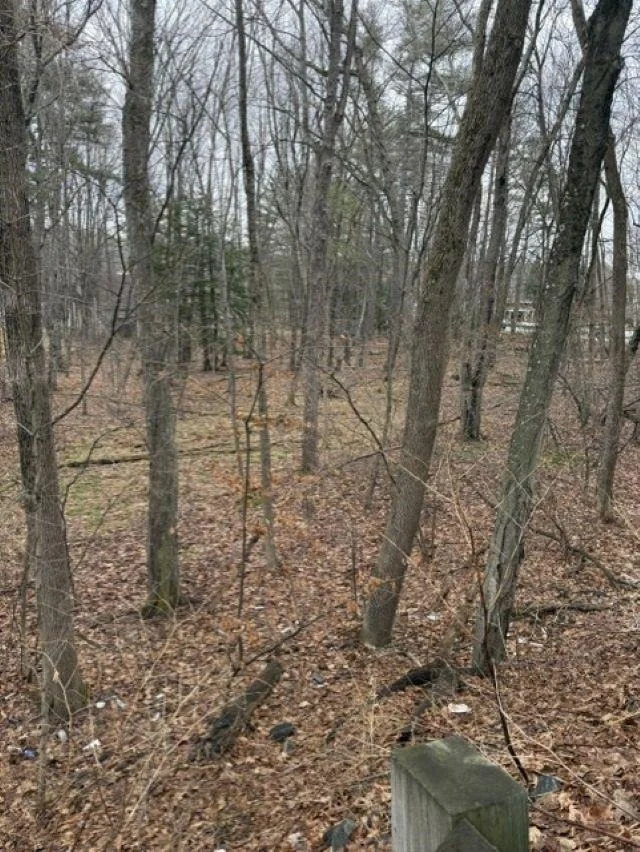 Photo of 2 Shore