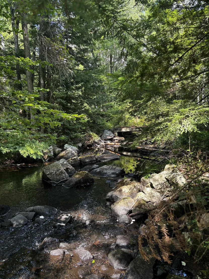 Photo of M 17 L 20&21 Ridge