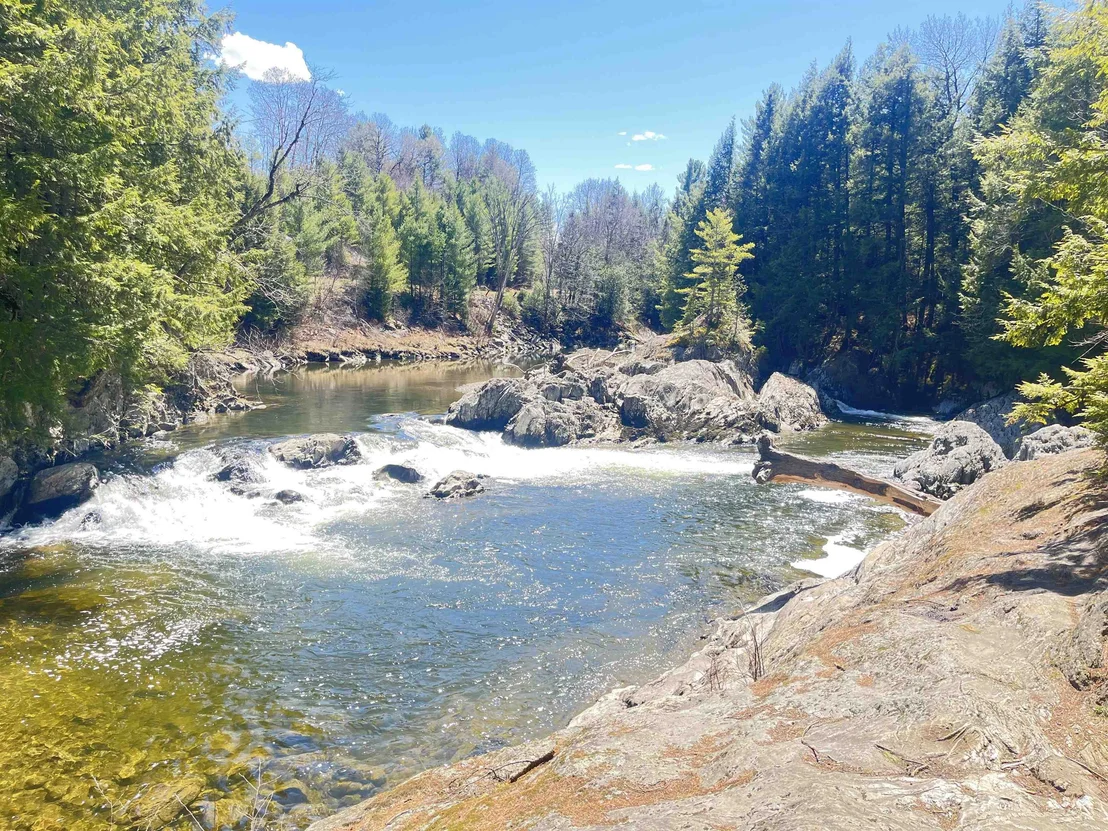 Photo of 1295 River