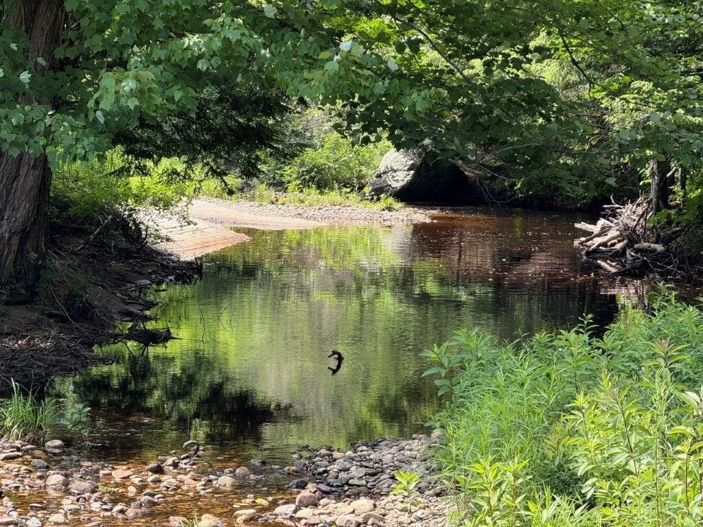 Photo of 446 Walker Brook