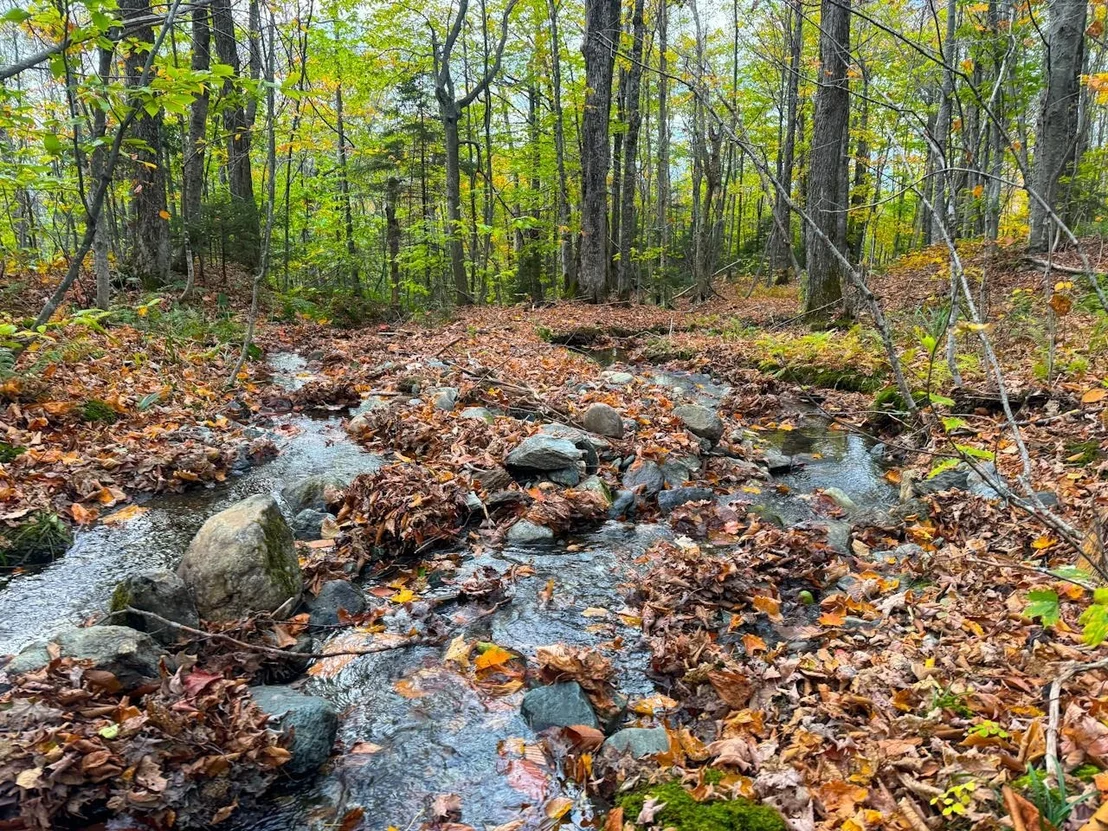 Photo of 0 Cider Mountain