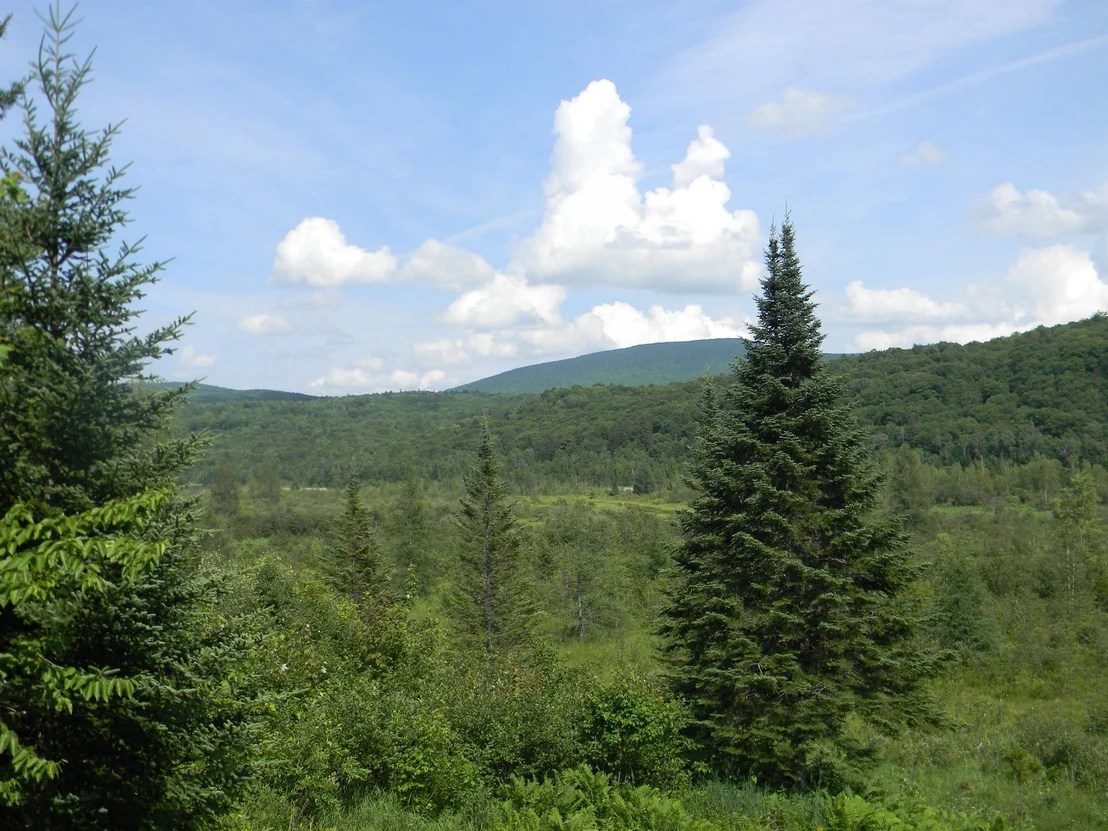 Photo of 24 Nash Stream