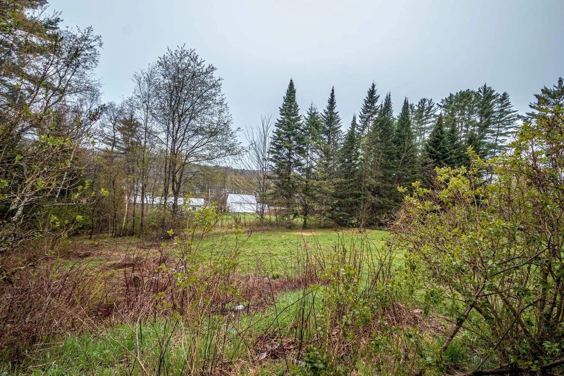 Photo of 42 Elm