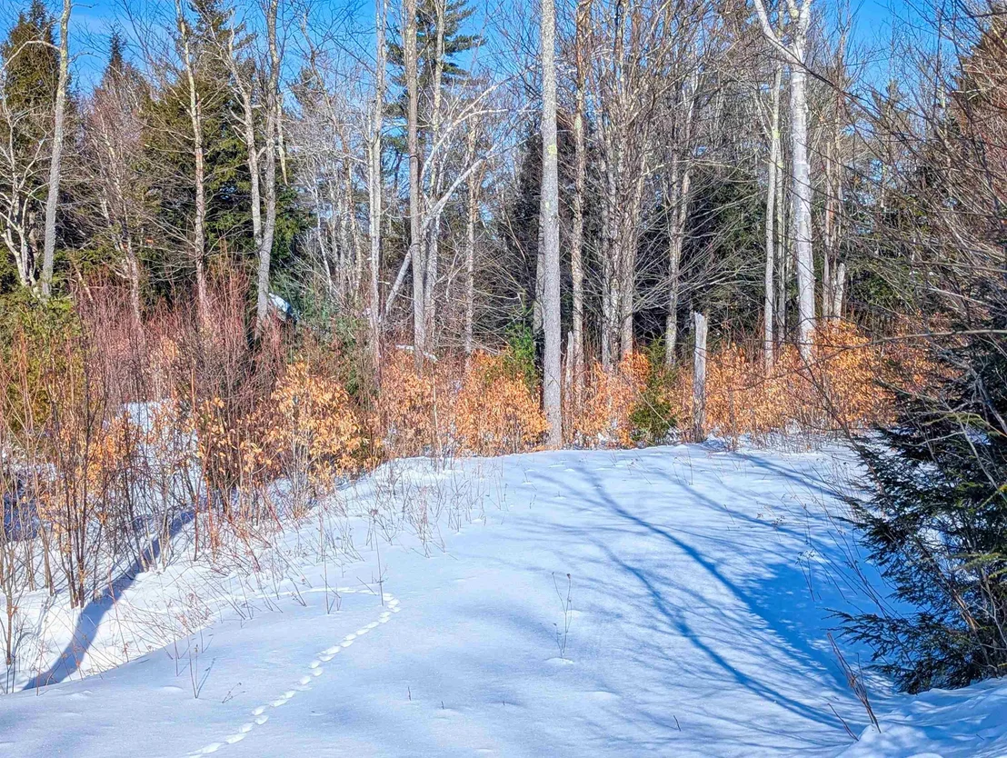 Photo of 00 Garden Loop