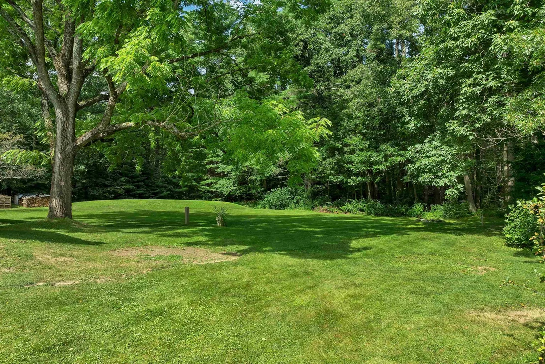 Photo of 15 Marsh
