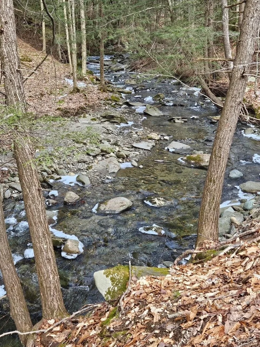 Photo of 1100 VT Route 15