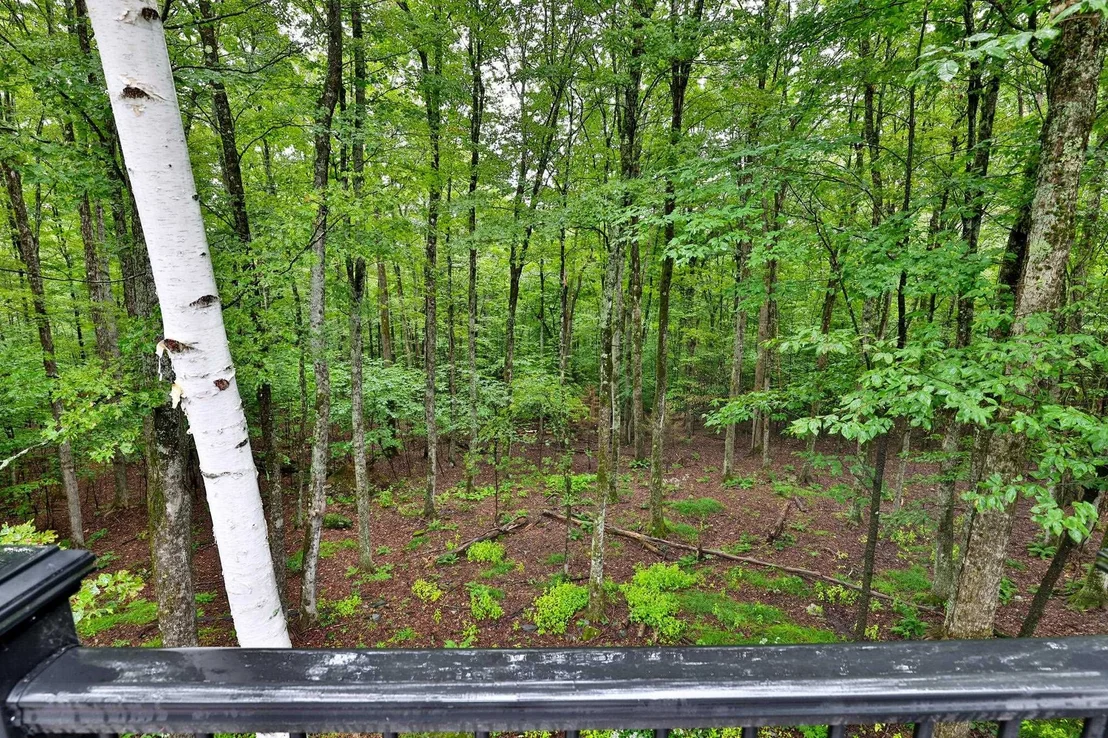 Photo of 28 Mountain View