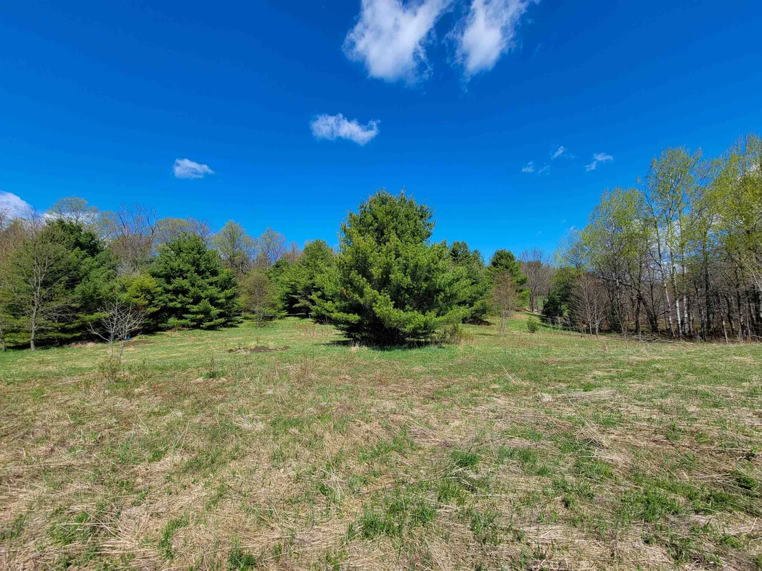 Photo of 667 Cemetery