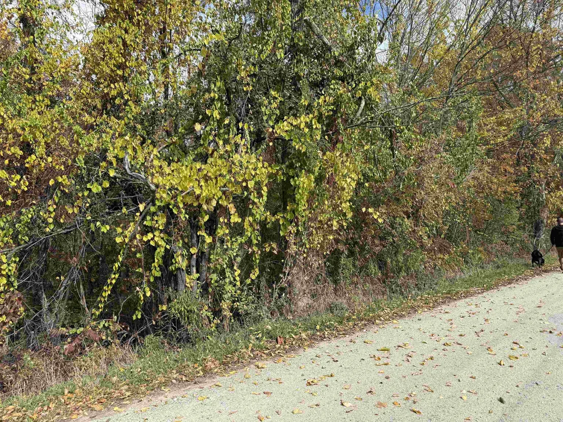 Photo of 0 Sunset Hill