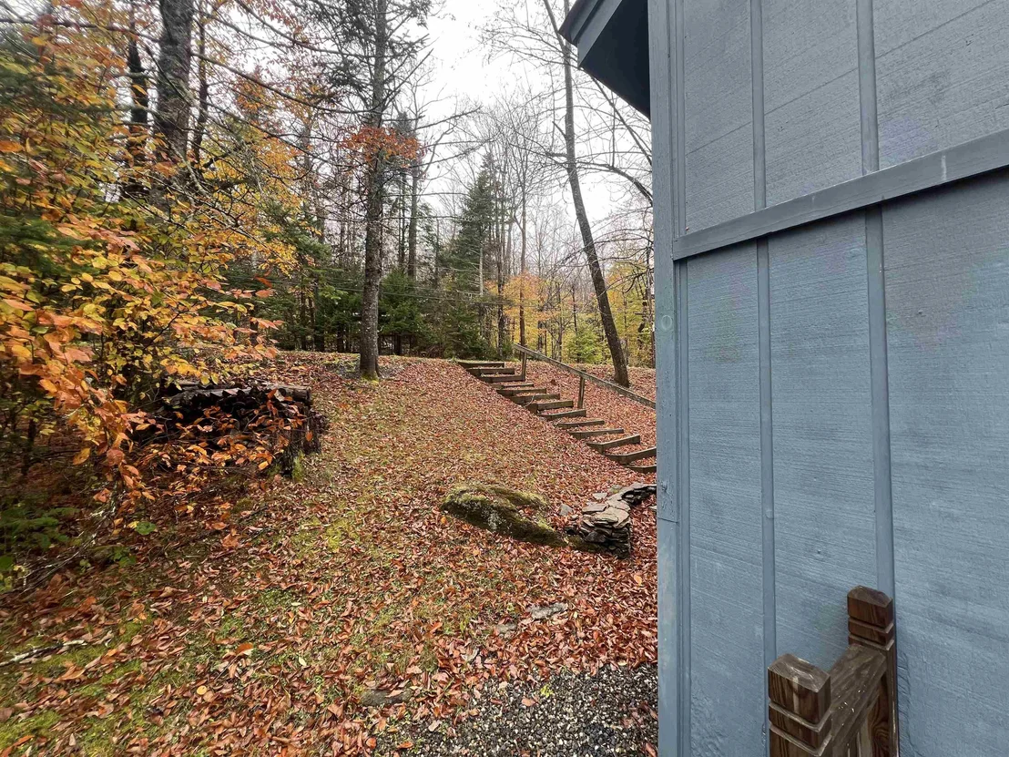 Photo of 40 Ellis Brook