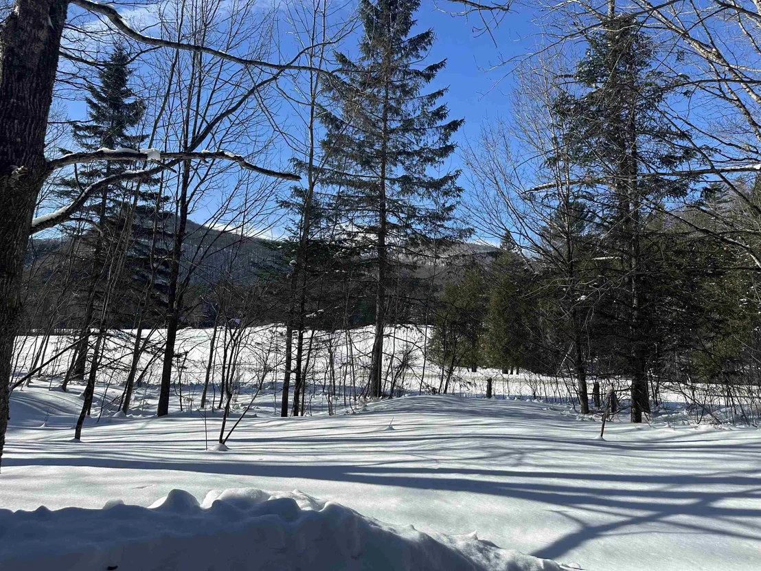 Photo of 9 Dry Pond