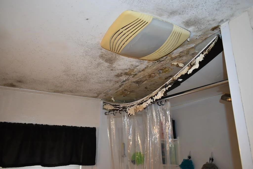 Photo of 133 Mount Delight