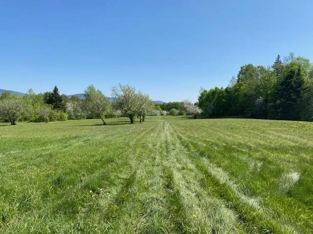 Photo of Off Reed
