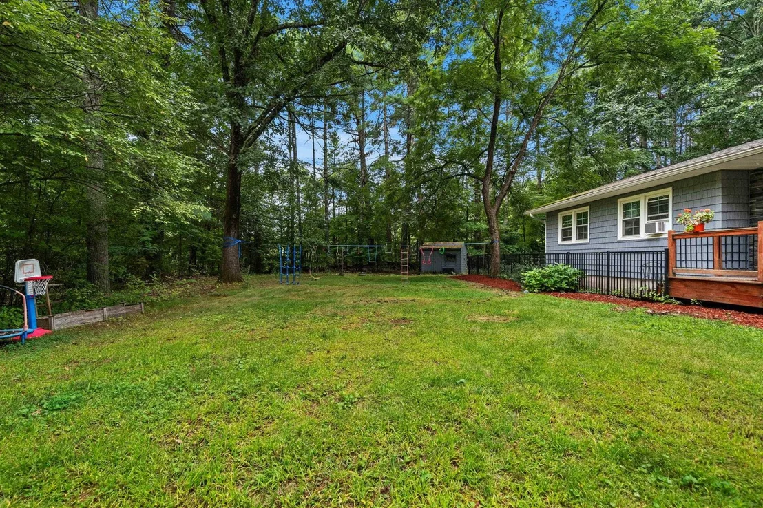 Photo of 6 Juniper