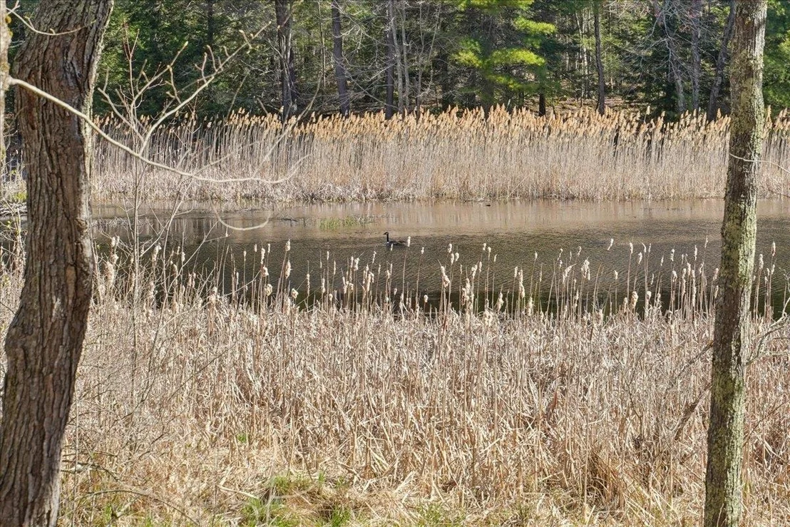 Photo of 88 Patten Hill
