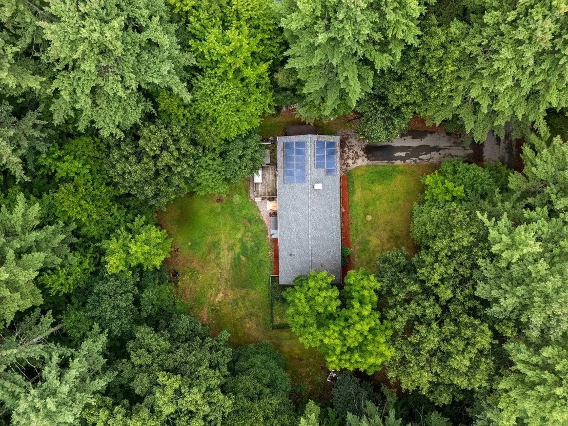 Photo of 6 Juniper