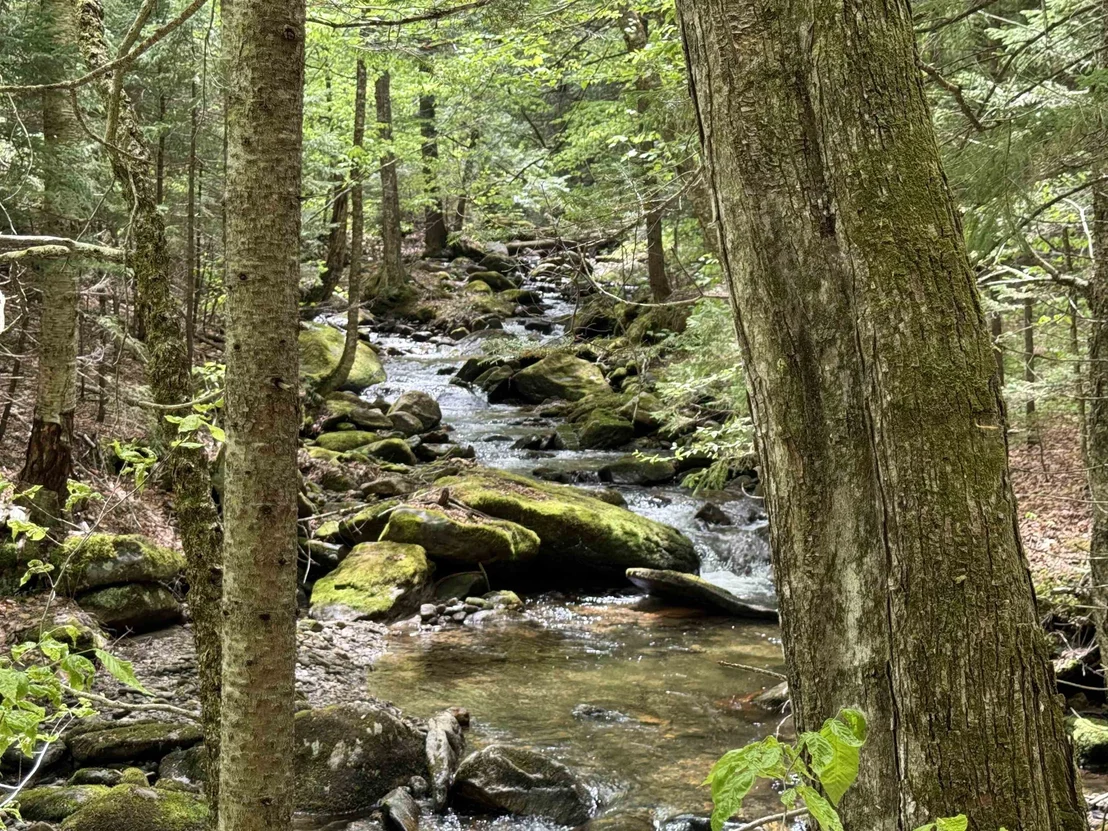 Photo of 81 Mirror Lake