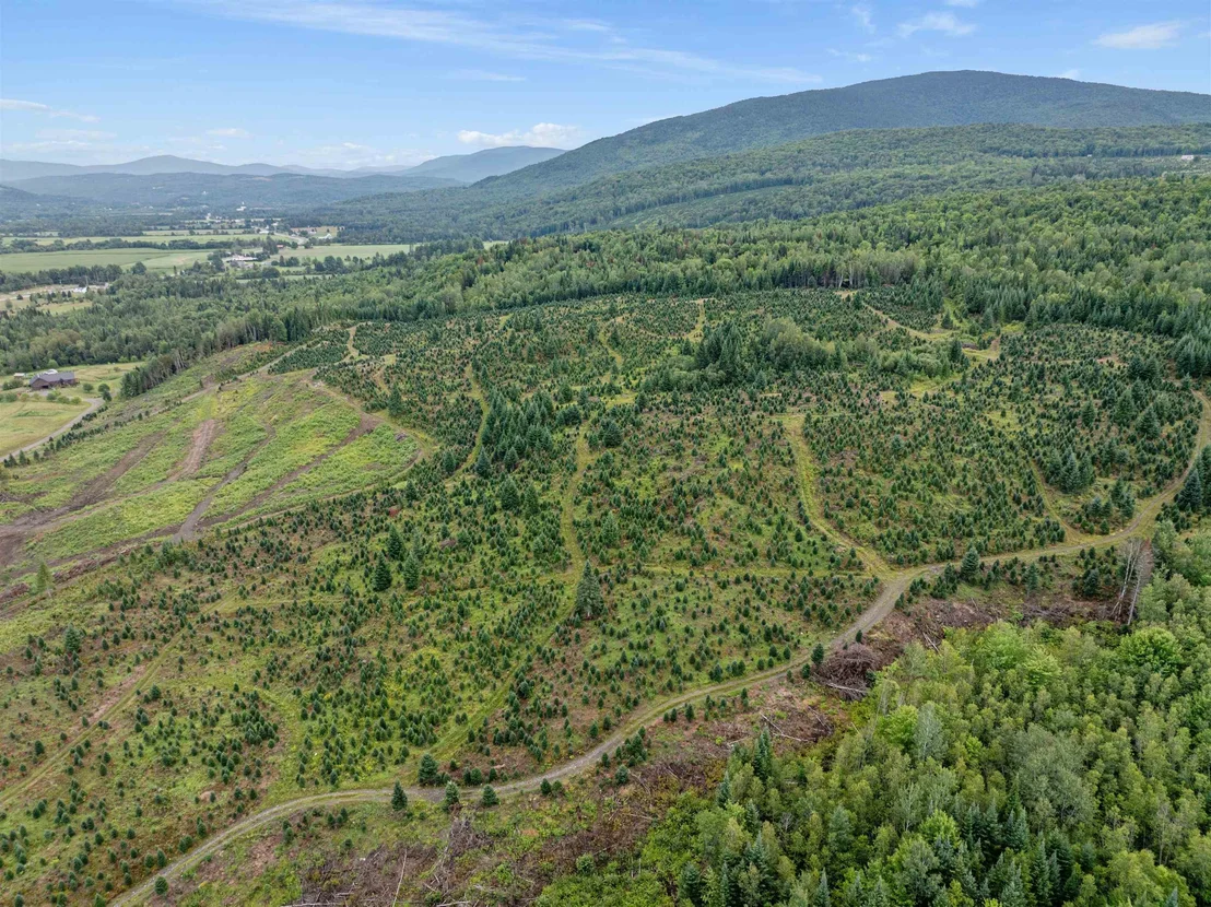 Photo of - Capon Brook