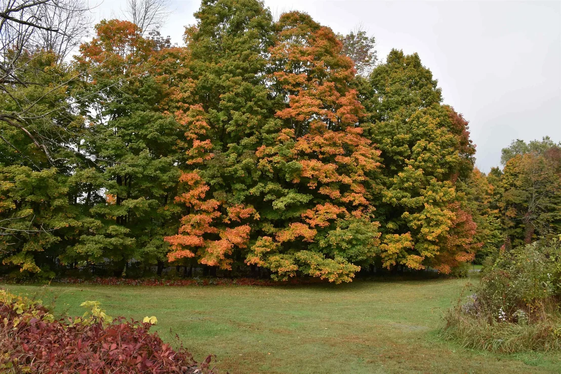 Photo of 177 Websterville