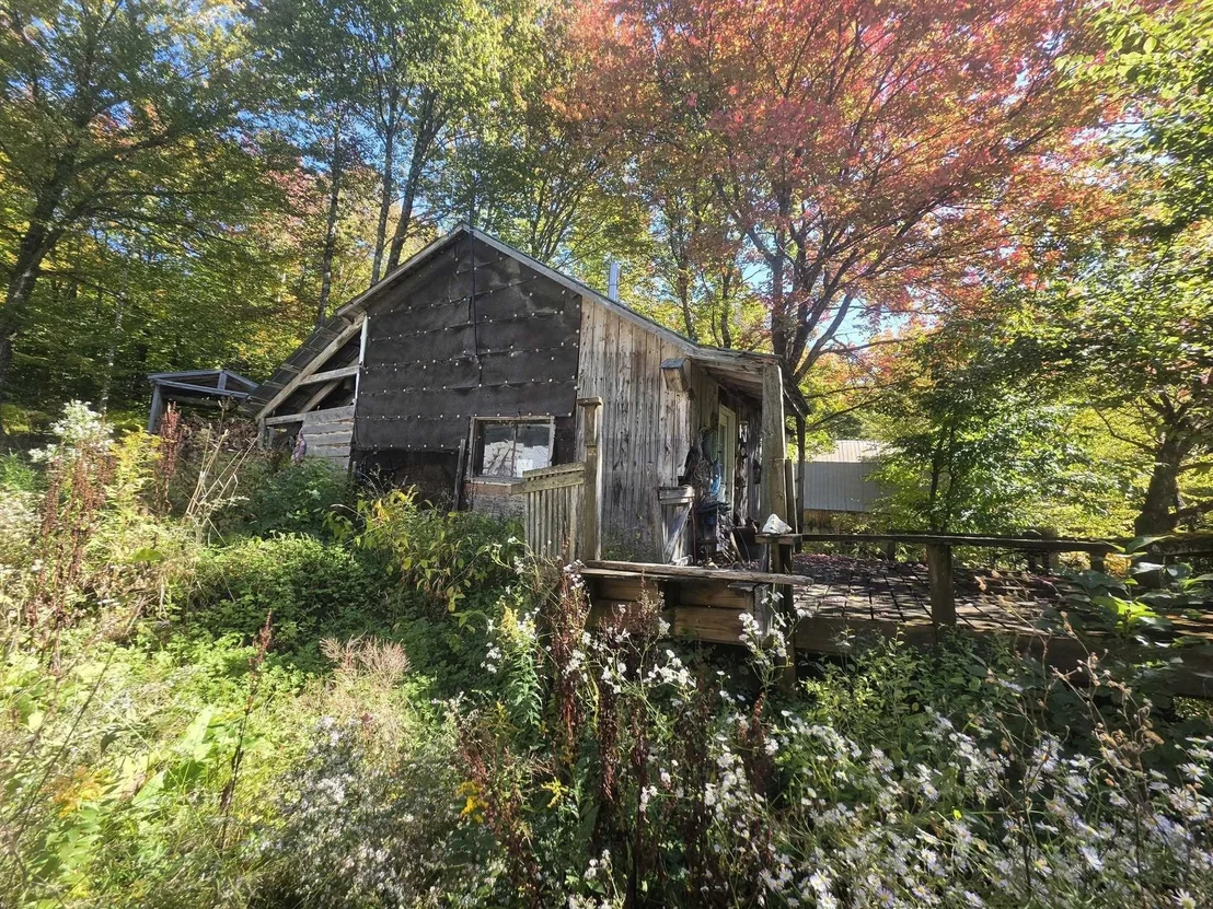 Photo of 689 Black Falls