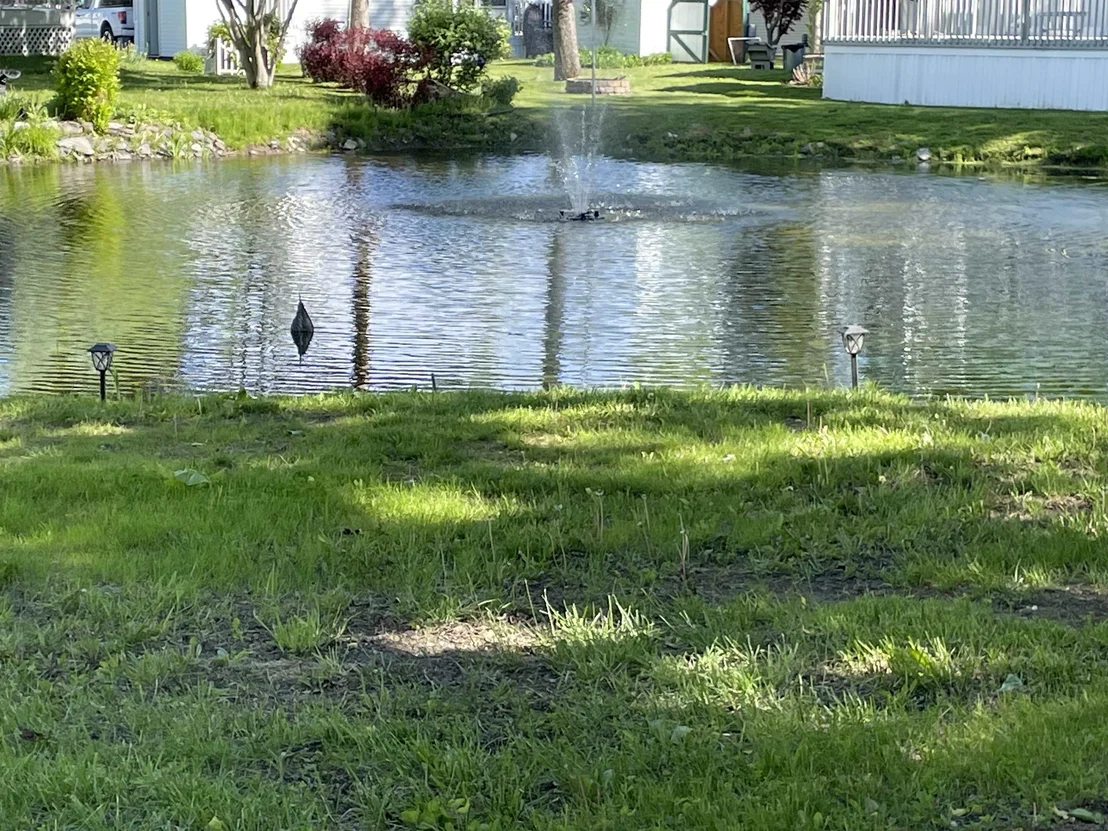 Photo of 20 Eagle