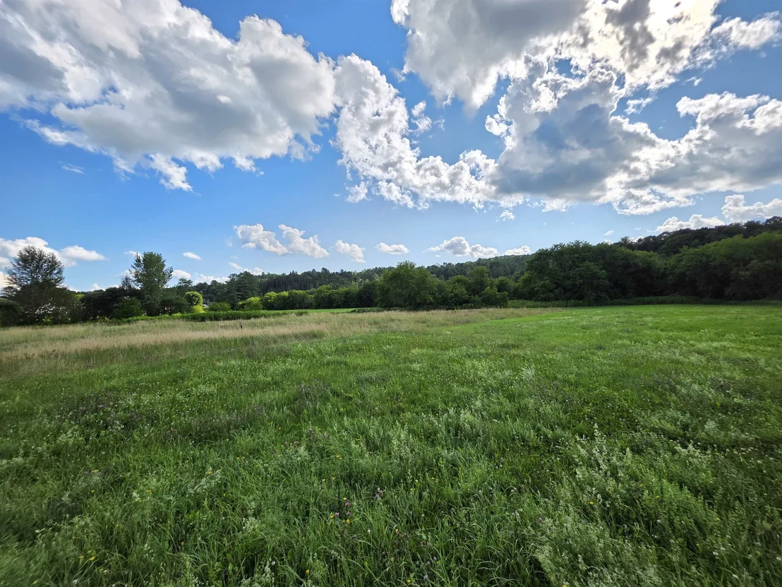 Photo of Lot#2 Gilman